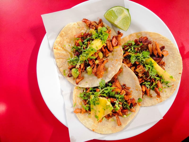 Mexican Grilled Fish Tacos